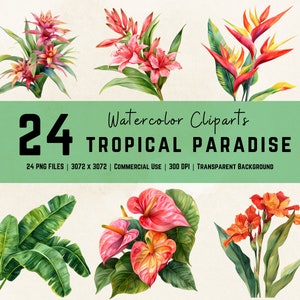 Pacote de clipart de flores tropicais Gráficos florais havaianos Jardim floral digital Lírios PNG Lótus PNG Orquídeas PNG Folhas Flor Clipart