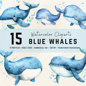 Cartoon blauwe vinvis aquarel cliparts walvis clipart blauwe vinvis PNG walvis kunst cartoon walvis walvis beelden zee schepsel kunst Oceaan clipart