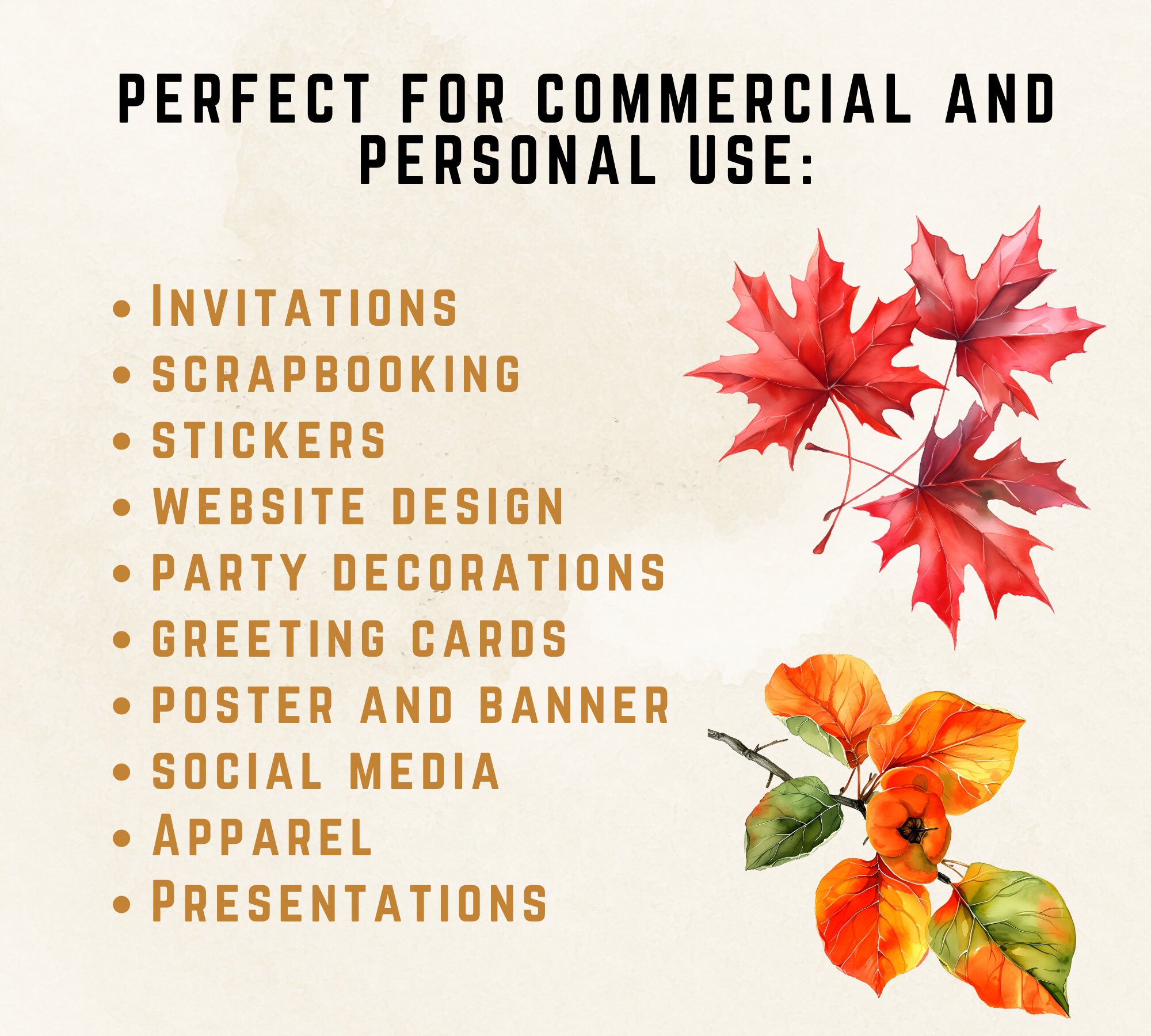 Autumn Leaves Clipart Bundle Fall Foliage Harvest Autumn Tree Leaves ...