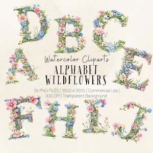 Wildflower alfabet png clipartbundel, bloemen botanische aquarel letters, wilde bloem png, geboortemaand beterschapscadeau sublimatiebundel