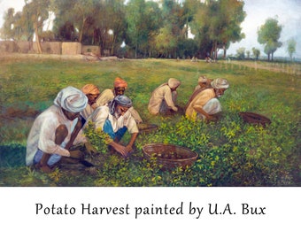 Potato Harvest, Vintage Art Print, Sikh Wall art, Home decor, Punjabi culture, Punjab Fields, Village life, Harvest season, Large size, Pind
