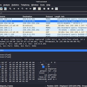 May include: A Wireshark network protocol analyzer interface displaying a packet capture list with columns for No., Time, Source, Destination, Protocol, Length, and Info, alongside a detailed packet dissection pane showing hexadecimal data.