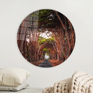 Tree Tunnel Art Canvas, Tree Landscape Art, California Cypress Tree Tunnel Wall Art, Landscape Art Wall Decor, Farmhouse Wall Art, Canvas,