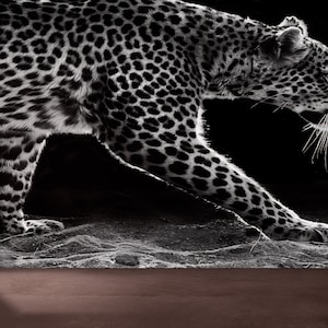 Leopard Wall Decor, Wall Mural Wallpaper, Animal Wall Art, Framed Paper Art, Farmhouse Wall Decor, 3D Wallpaper, Loft Decor, Wall Poster,
