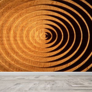 Removable Wallpaper, Papercraft 3D, Decor For Wall, Gift For Him, Circular Beech Wood Plate Wall Stickers, Trendy Wall Decor, Modern Mural,