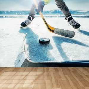 Ice hockey, ice, hockey, man, stick, HD wallpaper