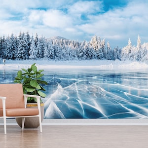 View Wall Paper, Nature Landscape Wallpaper, Wall Covering, Wallpaper By The Yard, Wall Decals Murals, Winter Scenery Wall Painting,