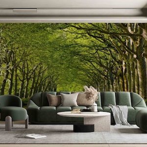 Canal Du Midi Tree Wallpaper: 3D France Landscape Wall Decor