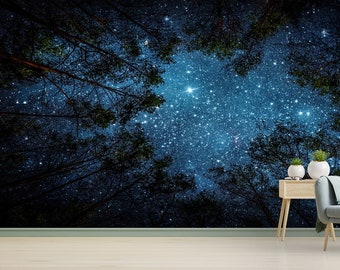 Starry Night Sky Wallpaper Mural: Peel and Stick Wall Decor