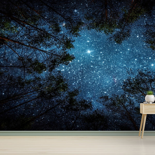 Night Sky Mural, Wall Decoration, View Wallpaper, Wallpaper Panels, Accent Wall, Beautiful Starry Sky Wall Decor, Farmhouse Wallpaper,