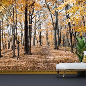 Bright Wall Paper, Modern Wallpaper, Wall Mural Wallpaper, Gift For The Home,  Wallpaper, Autumn Leaves Wall Poster, Landscape Wallpaper,