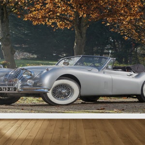 Garage Wall Decals, Old Car Wall Paper, Removable Wallpaper, 1954 Jaguar Wall Paper, Car Mural, Housewarming Gift, Boy Room Wallpaper,