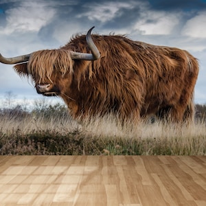 Bull Wall Decor, Wiil Buld Wallpaper, Buffalo Wall Paper, Animal Digital Paper, Scottish Highland Wall Mural, Bright Wall Paper, 3D Wall Art
