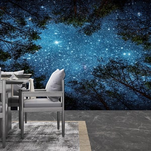 Starry Night Sky Wallpaper Mural: Peel and Stick Wall Decor - Etsy