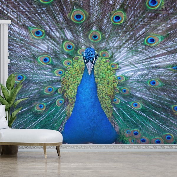Peacock Wallpaper Etsy