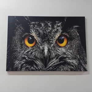 Owl Eyes Glass Wall, Trendy Glass, Owl Canvas Decor, Contemporary Glass, Animal Wall Art, Canvas Wall Art, Tempered Glass Wall Art,