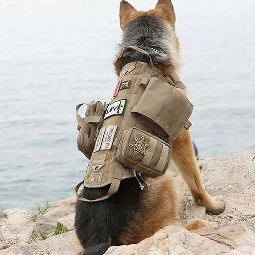 Malinois top tactical harness