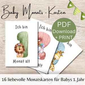 16 Baby Monthly Cards Safari | Download to print | Birth gift | Baby shoot | Milestone Cards | DIN A6 | German | digital