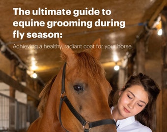 Horse Grooming Advice - Healthy Horse -  Fly Season