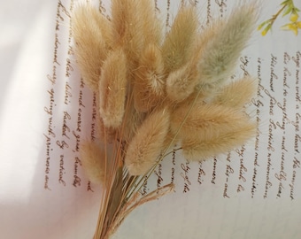 Natural bunny tails , letterbox bouquet, dried flowers, home decor, craft supplies
