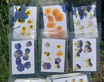pressed pansies, pansy violas, real dried flowers, resin-making supplies