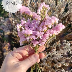 May include: A bouquet of pink dried flowers tied together with twine. The flowers are small and delicate, and they have a soft, feathery texture.