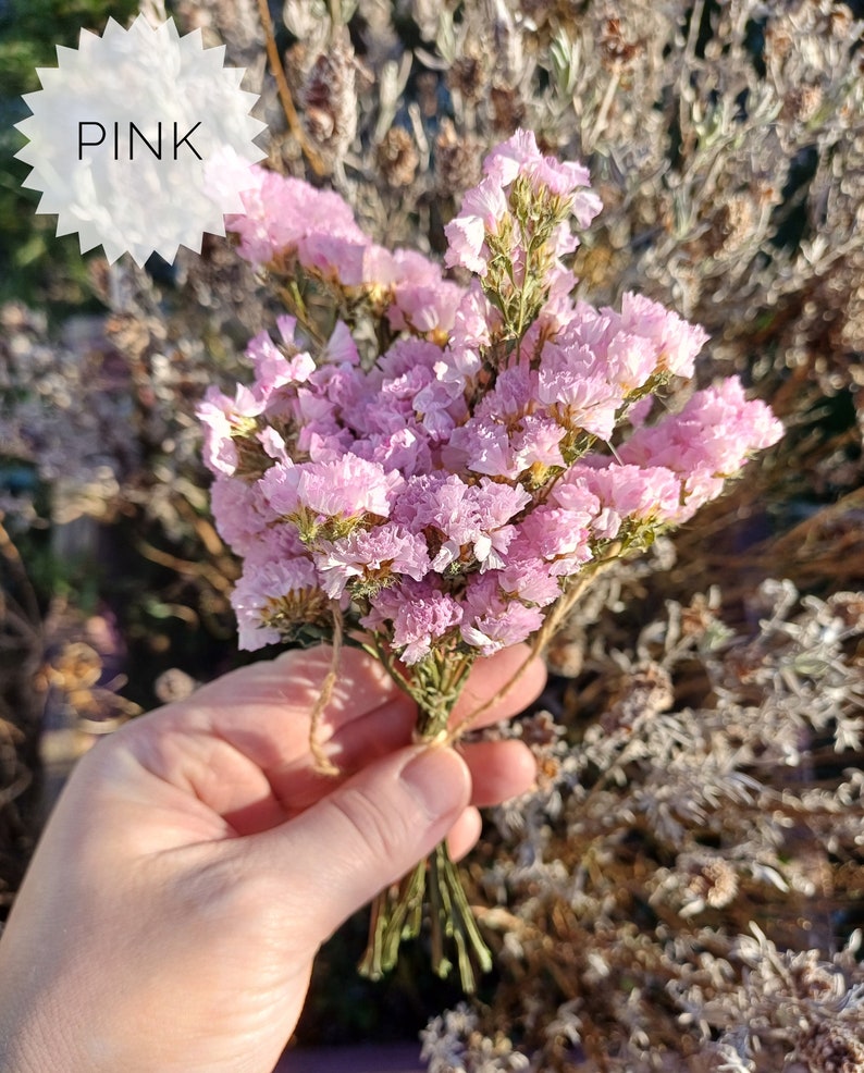 May include: A bouquet of pink dried flowers tied together with twine. The flowers are small and delicate, and they have a soft, feathery texture.