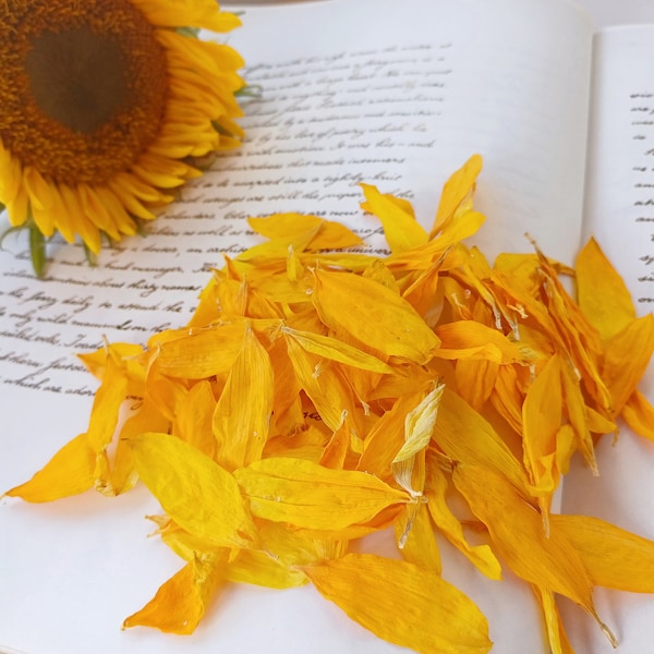 Sunflower petals, real dried flowers, resin making, natural flowers , craft supplies