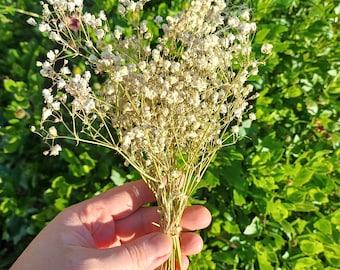 May include: A bouquet of small white flowers with green stems tied together with twine.