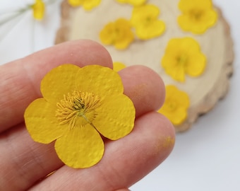 Real buttercup, Dried flowers , pressed flowers, card making,  Resin filler, craft supplies,