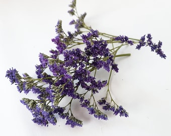 Sea lavender, limonium , dried flowers , real flowers , pressed flowers for art, Resin Making,