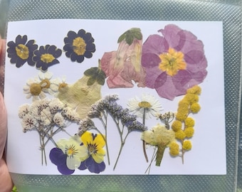 Dried flowers , mixed pressed flowers, floral art,  Resin making