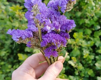 Limonium sinuatum,  dried flowers , real flowers , purple flowers for craft, Resin Making, small bouquet