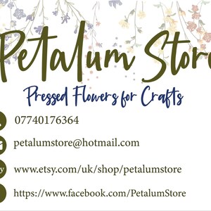 May include: Petalum Store business card with a floral design. The card includes the business name, contact information, and links to their Etsy and Facebook pages. The text reads: "Petalum Store, Pressed Flowers for Crafts, 07740176364, petalumstore@hotmail.com, www.etsy.com/uk/shop/petalumstore, https://www.facebook.com/PetalumStore"