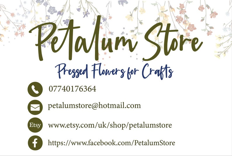 May include: Petalum Store business card with a floral design. The card includes the business name, contact information, and links to their Etsy and Facebook pages. The text reads: "Petalum Store, Pressed Flowers for Crafts, 07740176364, petalumstore@hotmail.com, www.etsy.com/uk/shop/petalumstore, https://www.facebook.com/PetalumStore"