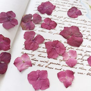Hortensia rose pressé, vraies fleurs séchées, fleurs pressées pour l'artisanat, fabrication de cartes, charge en résine, fournitures d'artisanat, journal indésirable