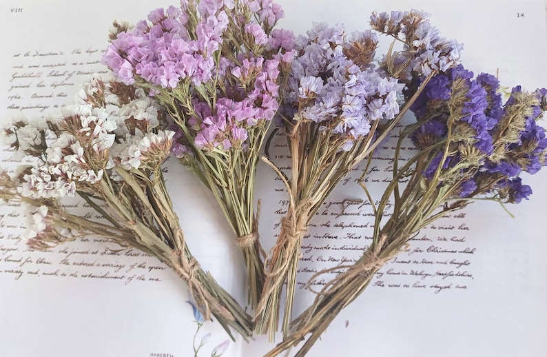 May include: Four bunches of dried flowers in shades of white, light purple, lavender, and purple. The flowers are tied together with twine.