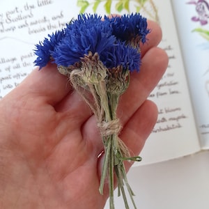 Real cornflower , blue flowers on stalks, small bouquet ,  dried flowers , craft supplies, cake decor, home decoration