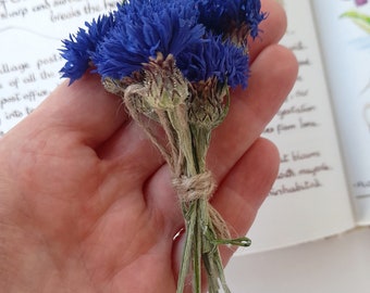 real cornflower on stalks, tiny bouquet,  dried flowers on stems, resin making, craft supplies, cake decor,