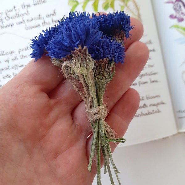 real cornflower on stalks, tiny bouquet,  dried flowers on stems, resin making, craft supplies, cake decor,