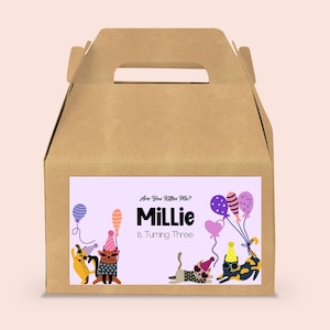 EDITABLE Cat Birthday Party Gable Box Label Template Sunglasses Balloons Kitten Girl Purple INSTANT DOWNLOAD Kitty Cat Corjl Template