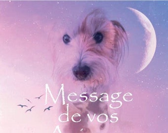 May include: A book cover featuring a white dog against a pink and purple background. The title is "Message de vos Animaux" and the subtitle is "Mieux les comprendre pour mieux les soigner". The author is Clothaire Guérin and the illustrator is Alexandra C.