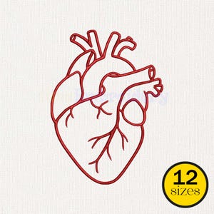 May include: A red outline of a human heart, showcasing the major veins and arteries. The image is on a white background. A yellow circle with the text "12 sizes" is in the lower right corner.