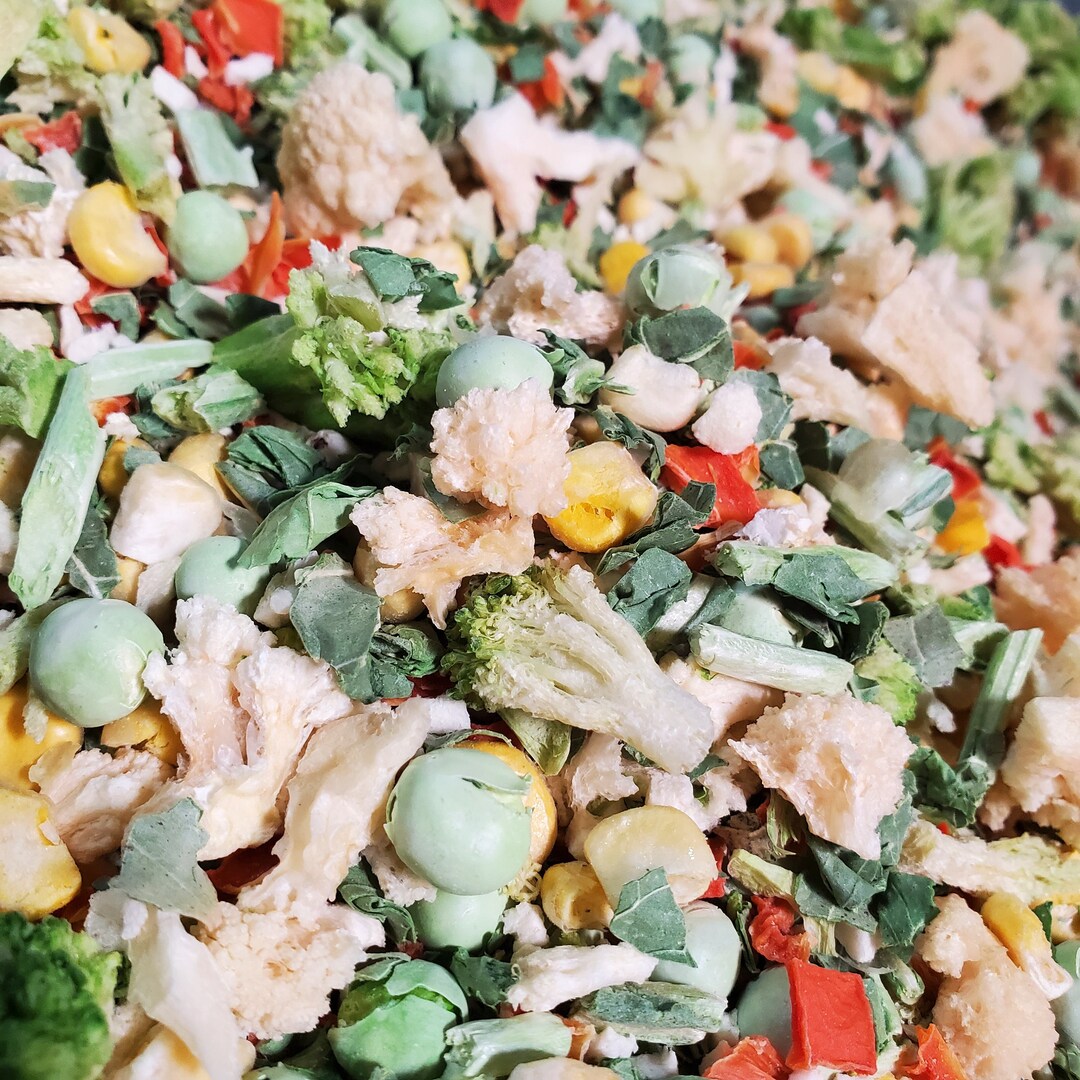 Freeze Dried Organic Food Veggie Blend - Etsy