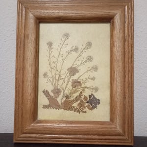 Arte, pintura com composições florais naturais secas com belos detalhes vintage dos anos 60, emolduradas em moldura de madeira