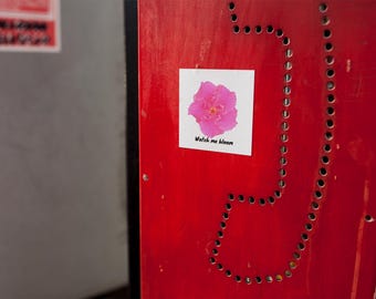 Levendige vinylsticker hibiscusbloem: sticker zonder luchtbellen