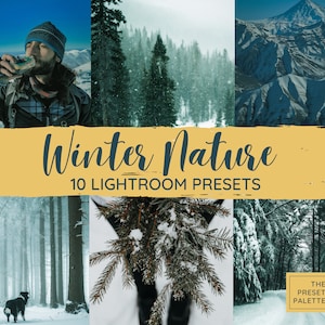 10 Lightroom Mobile Presets Winter Snow Preset, Mountain Filter Outdoor, Couple, Sports Bright and White Photo Editing Mobile & Desktop