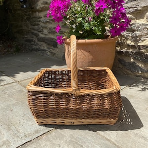 May include: A rectangular wicker basket with a braided handle. The basket is a light brown colour and sits on a stone patio. Behind it, a terracotta pot displays vibrant purple flowers.