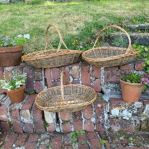 May include: Three woven wicker baskets with handles, in varying sizes, are displayed on a brick surface. Two terracotta pots with plants flank the baskets. The baskets are a natural brown colour, and the brick is red.
