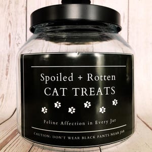 Cat Treat Jar| Cat Treat Storage Jar|Cute Cat Owner Gift| Cat Treat Storage |Half-Gallon Cat Treat Jar| |Pet Treat Jar| Funny Cat Lover Gift